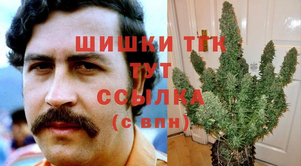 ГАЛЛЮЦИНОГЕННЫЕ ГРИБЫ Баксан