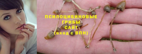 ГАЛЛЮЦИНОГЕННЫЕ ГРИБЫ Баксан