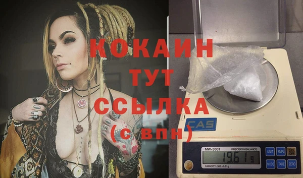 дживик Няндома