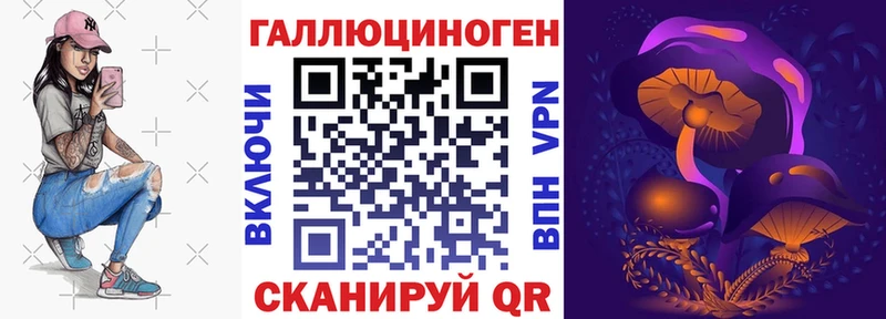 дарк нет формула  Старая Купавна  Псилоцибиновые грибы Magic Shrooms 